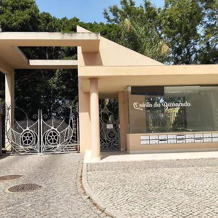 Apartment Barracuda Dom