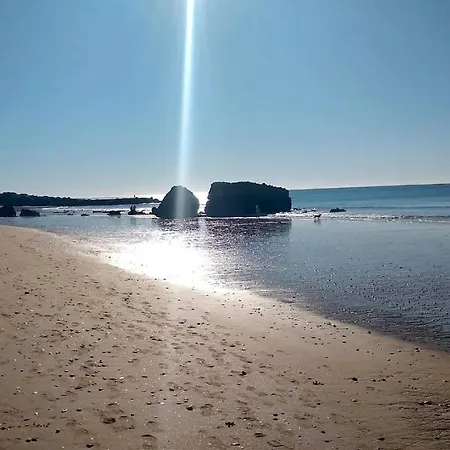 Apartment Barracuda Dom Albufeira